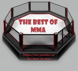 the BEST OF MMA