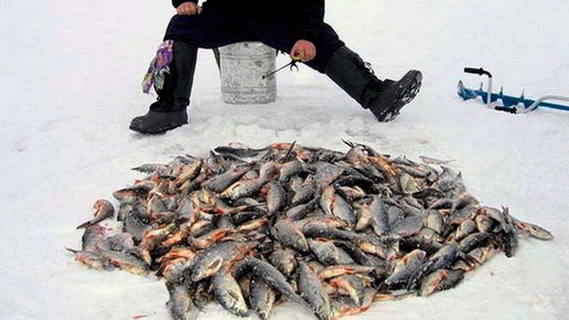 Картинка: В первый раз на зимнюю рыбалку