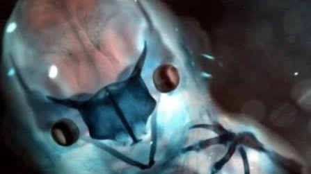 Картинка: Эмбрион летучей мыши в рентгеновских лучах
