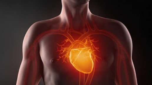 Картинка: Болезни сердца в большинстве случаев можно предотвратить