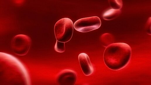 Картинка: Чем отличаются группы крови?
