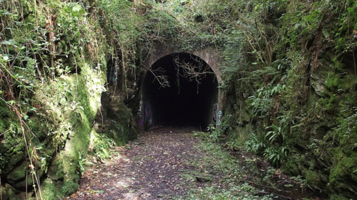 Картинка: Маунт-Эллиот - заброшенная железнодорожная линия в Ирландии