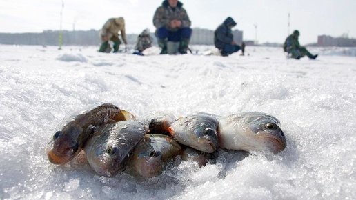 Картинка: Зимняя рыбалка. Часть I
