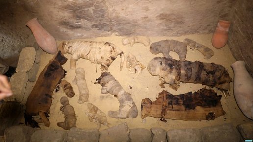 Картинка: Удивительная находка древней гробницы: сотни мумий кошек и скарабеев!