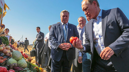 Картинка: Путин поручил выделять не менее 8 млрд руб. в год сельхозпроизводителям