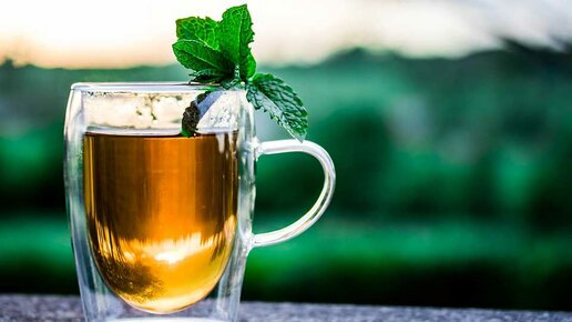Картинка: Краснодарский чай российские туристы считают самым вкусным, а Кубань – самым чайным регионом