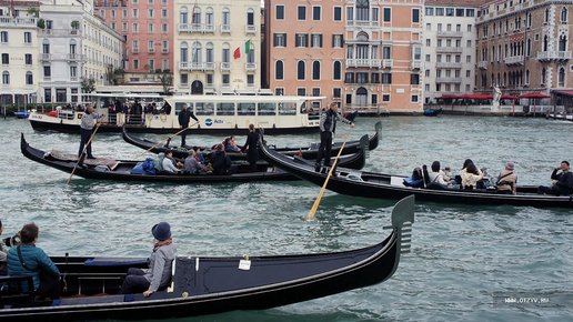 Картинка: Что скрывают восторженные туристы в Венеции?