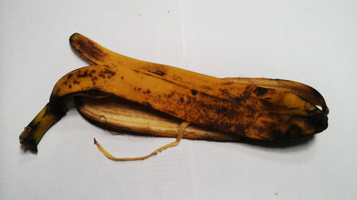 Картинка: Как с пользой для огорода применить банановую кожуру.