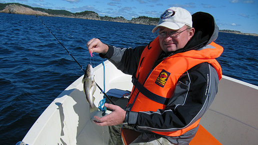 Картинка: Рыбалка в Норвегии. База Trysnes Marina