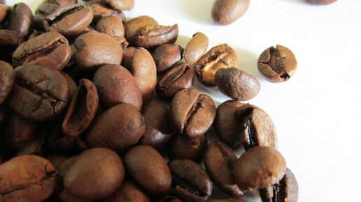 Картинка: Как использовать кофейную гущу в качестве удобрения в саду