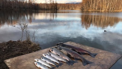 Картинка: рыбалка на реке Озерная(Толбачик)