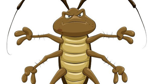 Картинка: Несколько фактов о тараканах
