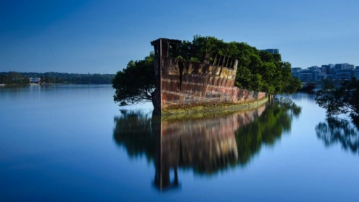 Картинка: Заброшенное грузовое судно, на котором растет лес