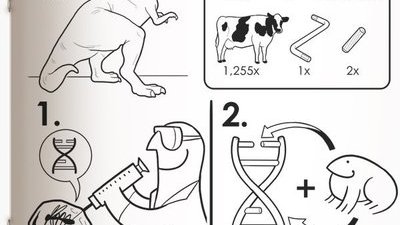 Картинка: Инструкции по сборке и применению основных символов массовой культуры от IKEA