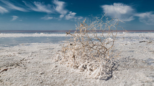 Картинка: Мертвее, чем Мёртвое море: озеро Эльтон в Волгоградской области