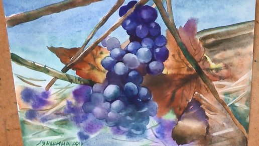 Картинка: Акварельная живопись: рисуем темный виноград в две кисти