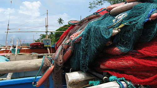 Картинка: Рыбалка в Шри-Ланке