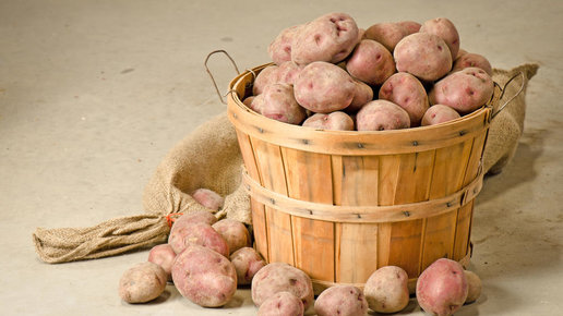 Картинка: Как правильно хранить картофель зимой