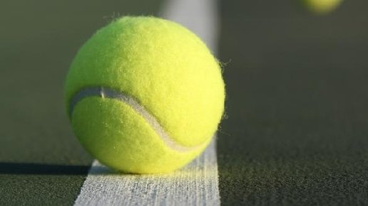 Картинка: Президент Ассоциации тенниса США извинилась перед судьей финала US Open