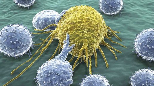 Картинка: Изучен древний биомеханизм, способный навсегда избавить человечество от рака
