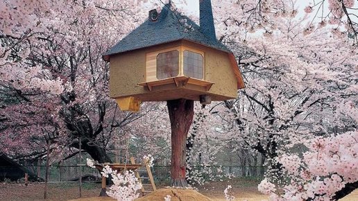 Картинка: 12 стильных домиков для ночлега, построенных прямо на дереве