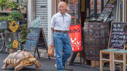 Картинка: Тайные улочки Токио: Цукисима-Мондзя-стрит
