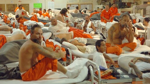 Картинка: Тюремная система США - четверть заключённых всего мира, частные тюрьмы и бесплатная рабочая сила.