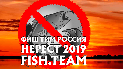 Картинка: Нерестовый запрет 2019 в России