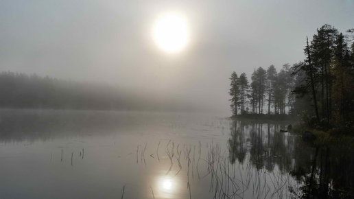 Картинка: Открыто бронирование отдых в Карелии на базе Талвисъярви летом и осенью 2018