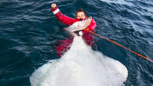Картинка:  Поймать палтуса на Лофотенских островах