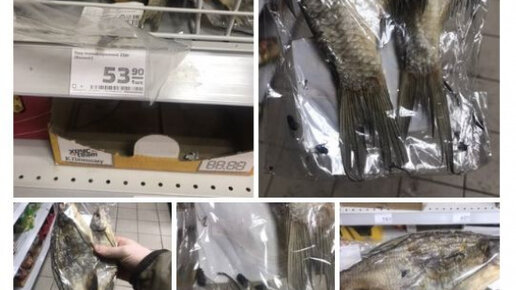 Картинка: В Петербурге мужчина купил рыбу с мертвыми мухами