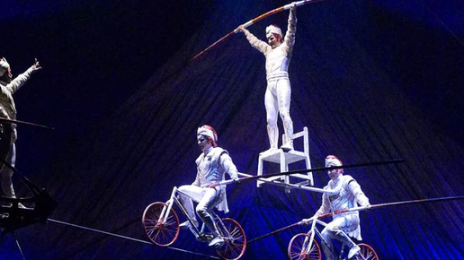 Картинка: Неудачные выступления на арене цирка. Видео. Почему артисты погибают там?