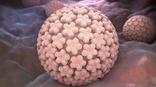 Картинка: ВПЧ: чем опасен вирус папилломы человека