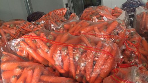 Картинка: Лучшие способы сохранить морковку до следующего урожая