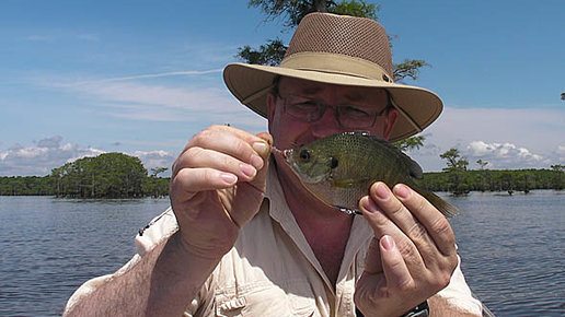 Картинка: Рыбалка в США. Озеро Каддо