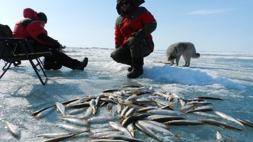 Картинка: Рыбалка на севере Камчатки