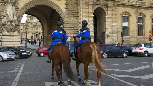 Картинка: Ликвидировала “страсбургского стрелка” полиция Франции