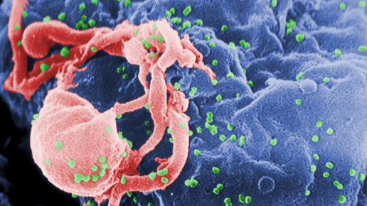 Картинка: Эффективная вакцина от ВИЧ и СПИДа