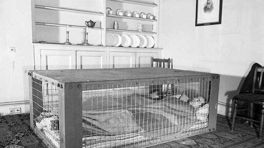 Картинка: Кровать в клетке. Странное изобретение Второй мировой войны