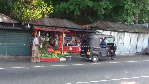Картинка: Путешествие в Шри Ланку. Ваддува.