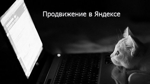 Картинка: Продвижение в Яндексе