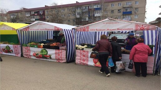 Картинка: Устьлабинская ярмарка выходного дня признана лучшей в Краснодарском крае