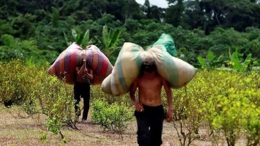 Картинка: 7 Удивительных фактов о Колумбии, которые ты не знал