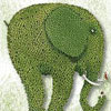 Зелёный слон (Zelenyislon)