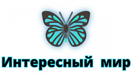 Интересный мир