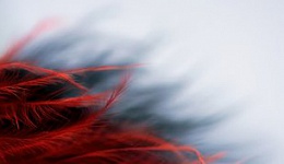Психология о жизни