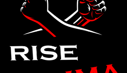 UFC MMA by rise