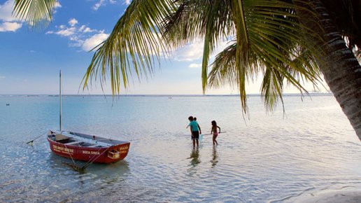 Картинка: Отдых в Доминикане [Бока Чика]