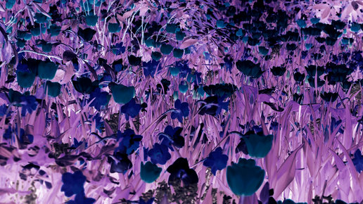 Картинка: Q11