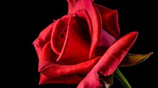 Картинка: Необходимые вещи, которые следует осознать человеку